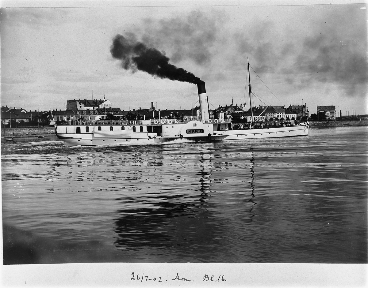 Johan Albert Steen, SKIBLADNER, MJØSBÅT, UTENFOR HAMAR, 26-7-1902.