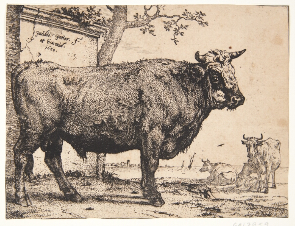 Paulus Potter, En tyr