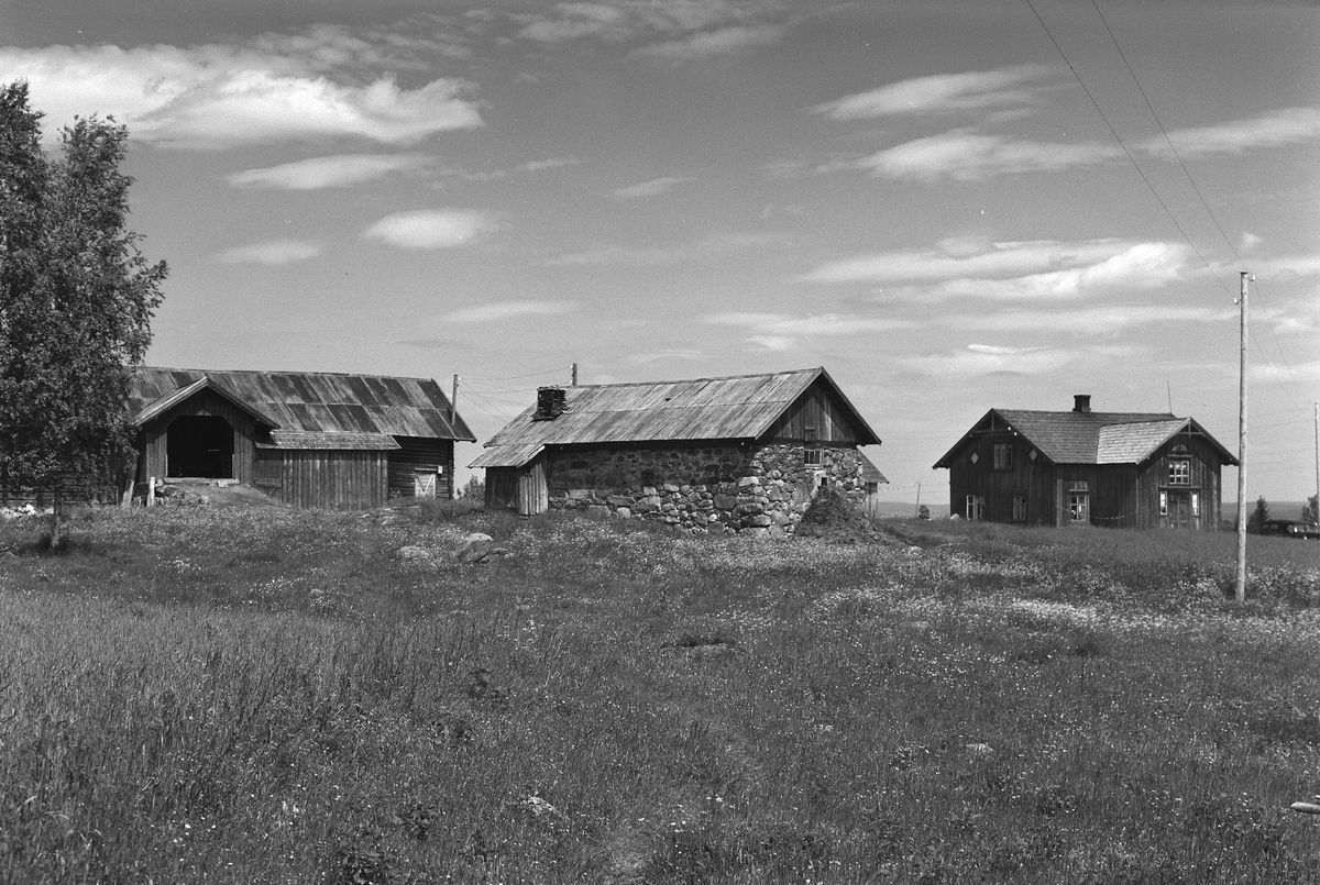 Anno Domkirkeodden, EKSTR: GARDSTUN, OLSSTUEN, LØTENROKOSTUEN II. Se Løtenboka, bind 3. Bygdeboka fra 1955, side 609
