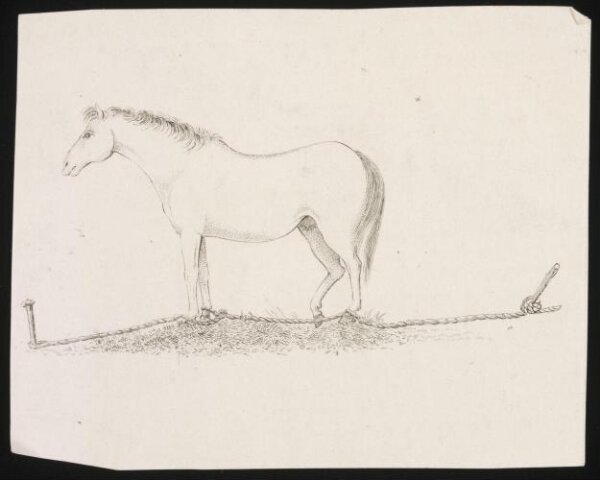 Unknown, Print