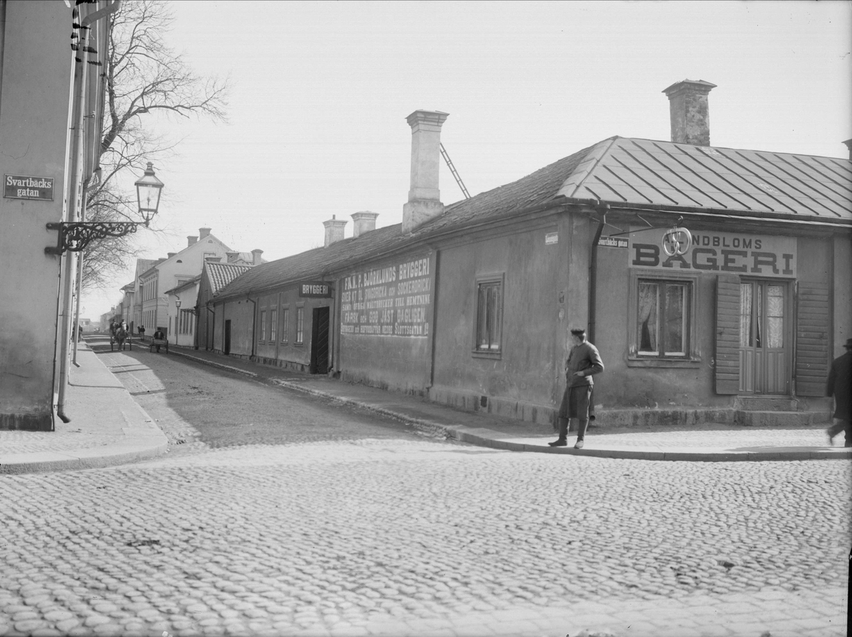 Alfred Dahlgren, Linnégatan - Svartbäcksgatan, Dragarbrunn, Uppsala 1901 - 1902