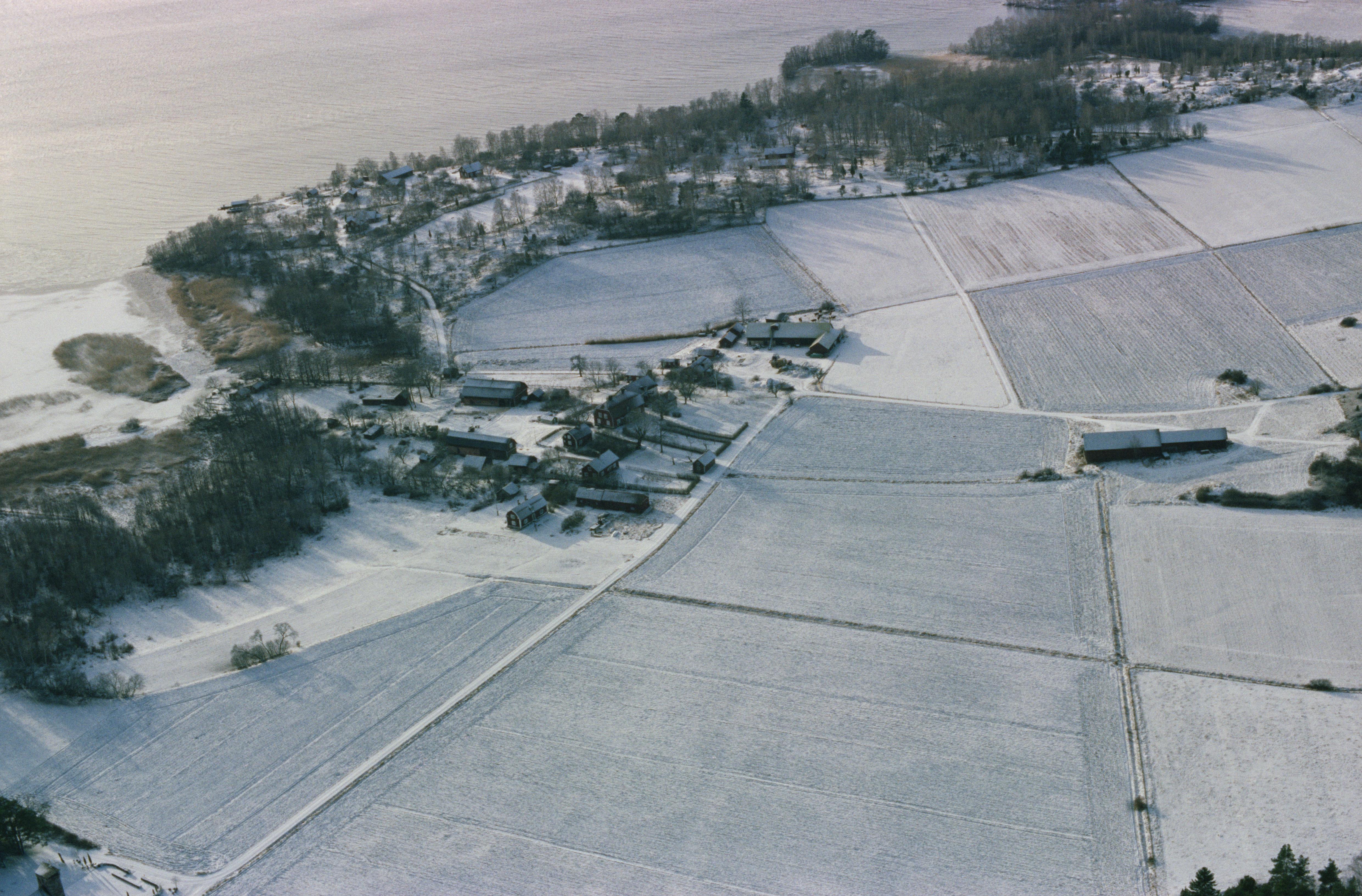 Jan Norrman, Adelsö 255:1