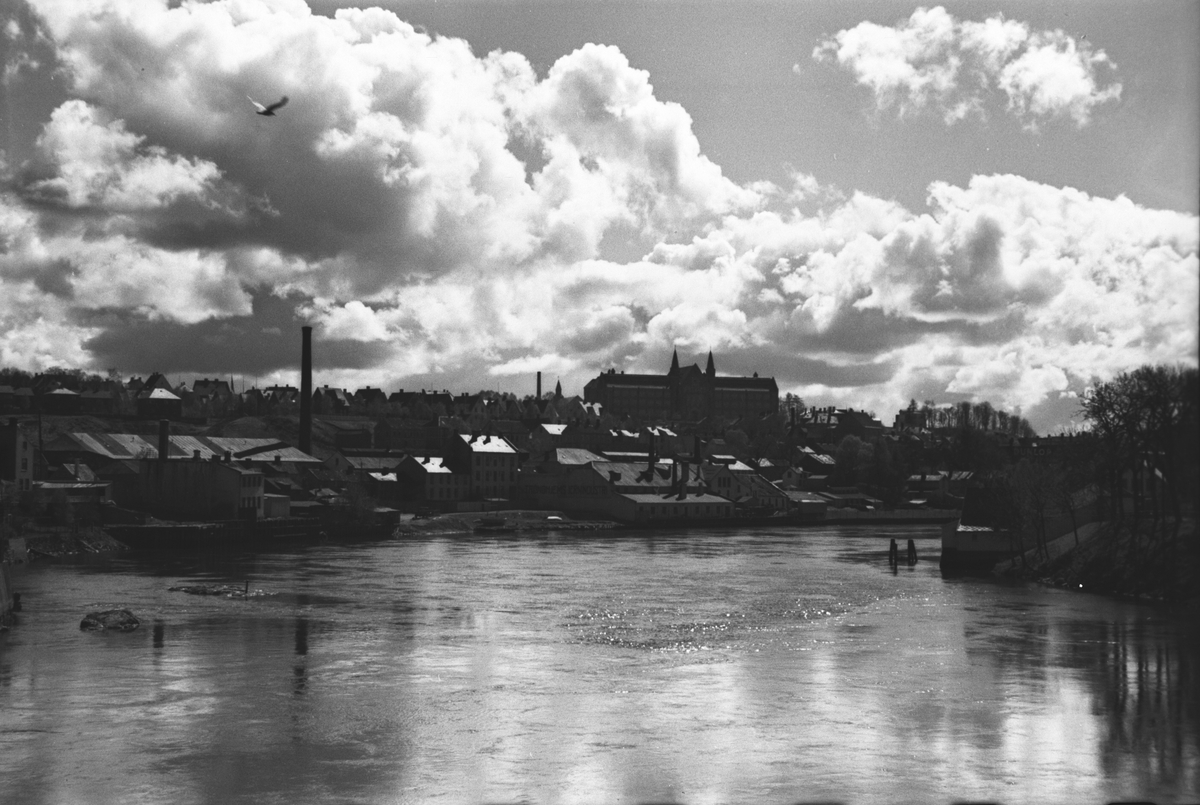 Anders Beer Wilse, Prot: Trondheim