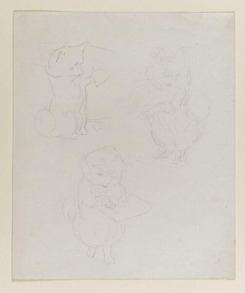 Potter, Beatrix, drawing