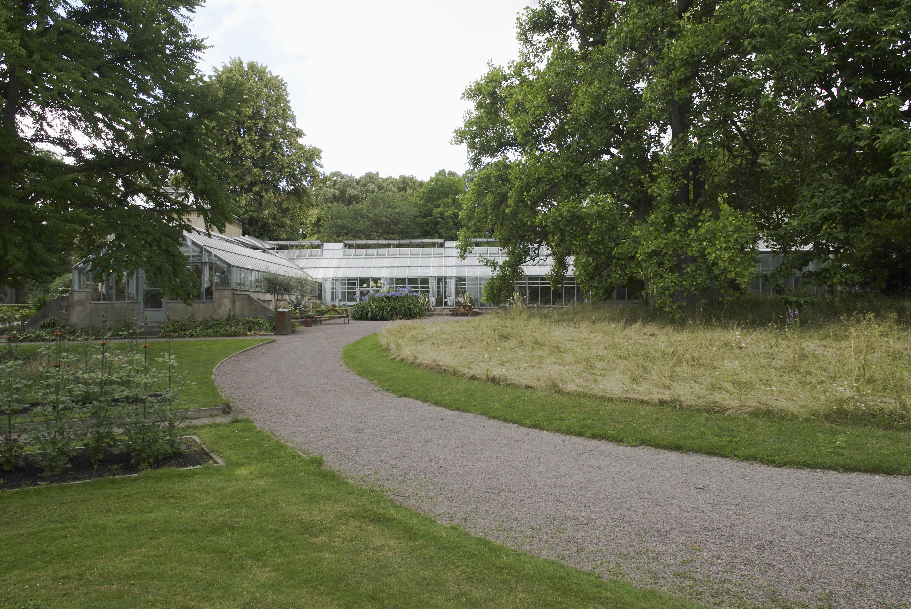 Bengt A Lundberg, Botaniska trädgården i Lund