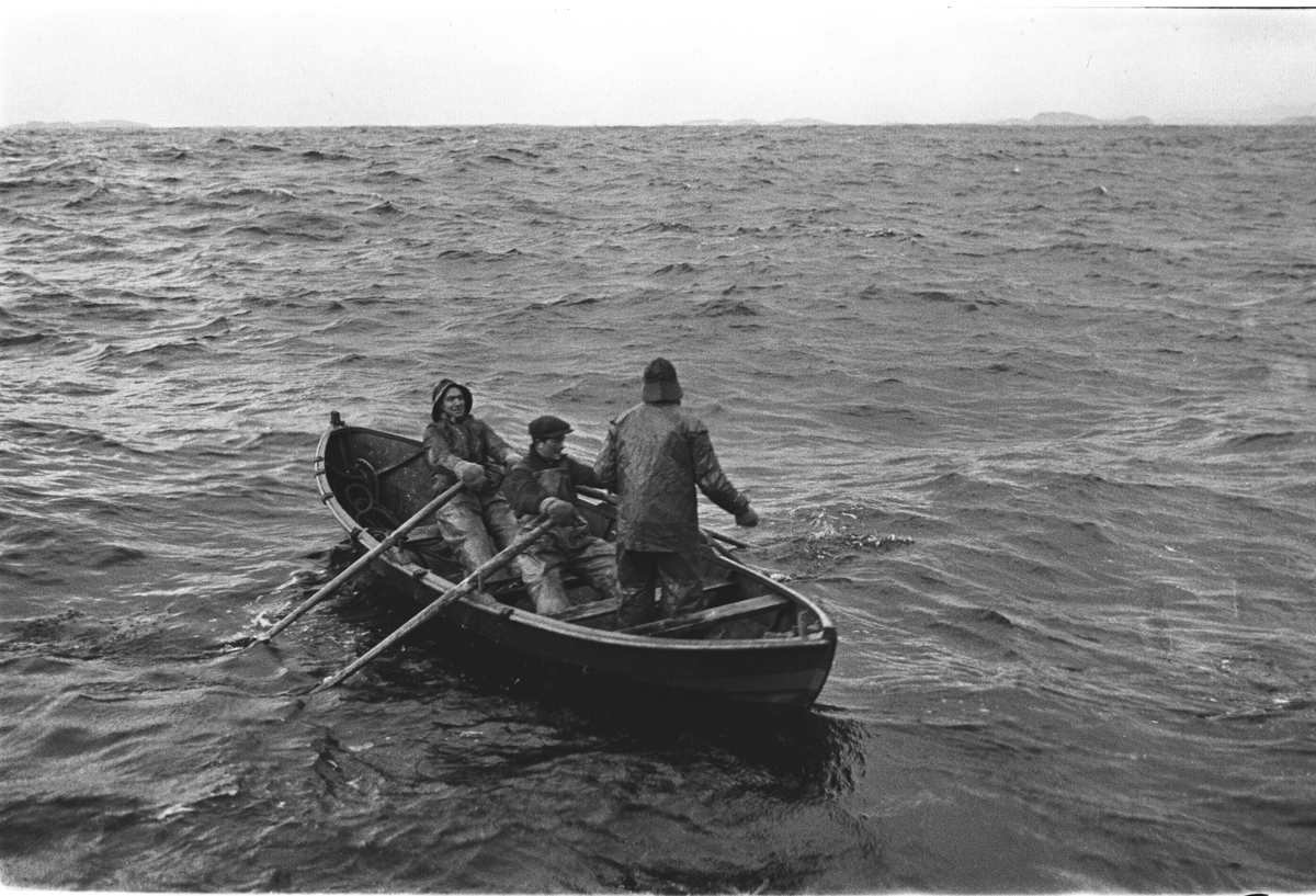 Anders Beer Wilse, Prot: Sildefiske paa havet