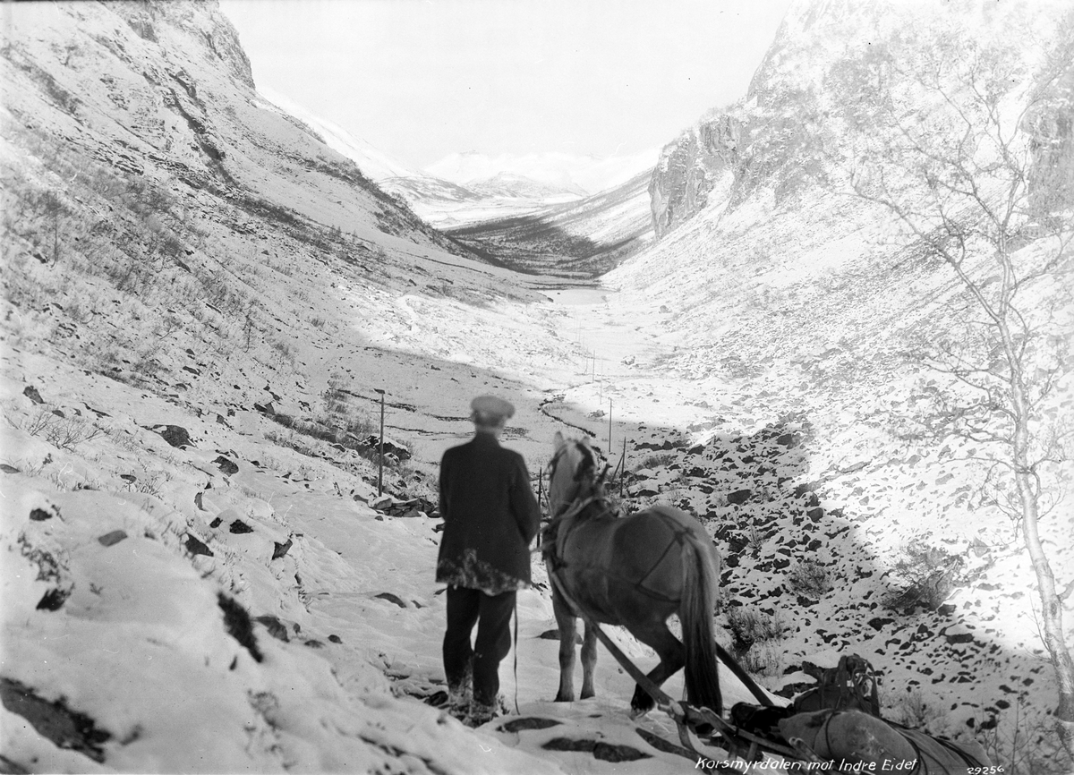 Anders Beer Wilse, Prot: Korsmyrdalen mot Indereidet