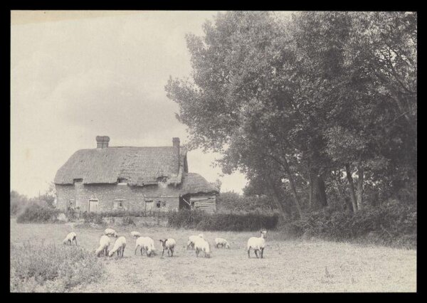 Gale, Lt. Col. Joseph, Sheep and barn