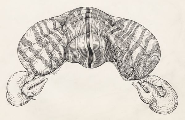 J Tinkelenberg, Part of the central nervous system