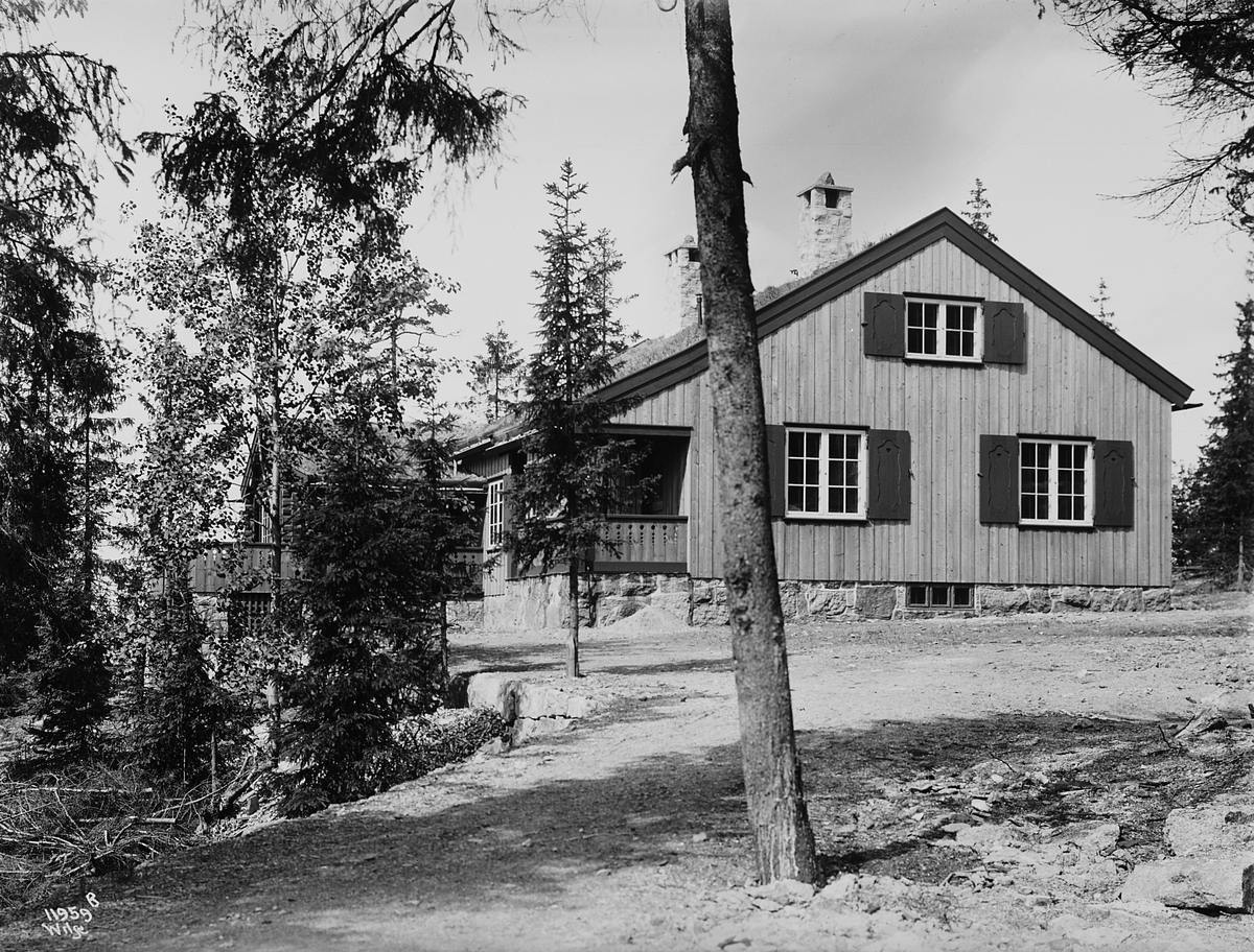 Anders Beer Wilse, Konv: Trygve Sundts hytte
