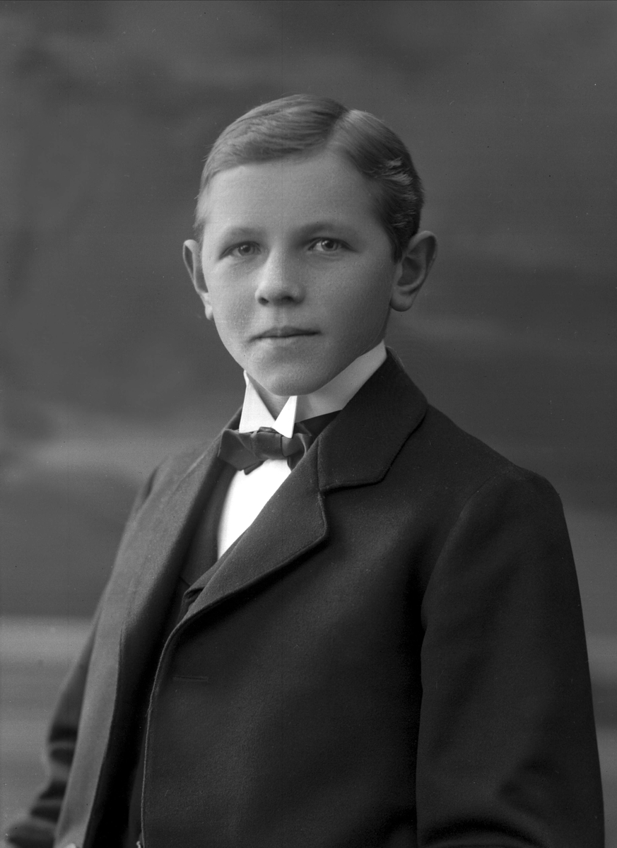 Gustav Borgen, NFB.19873