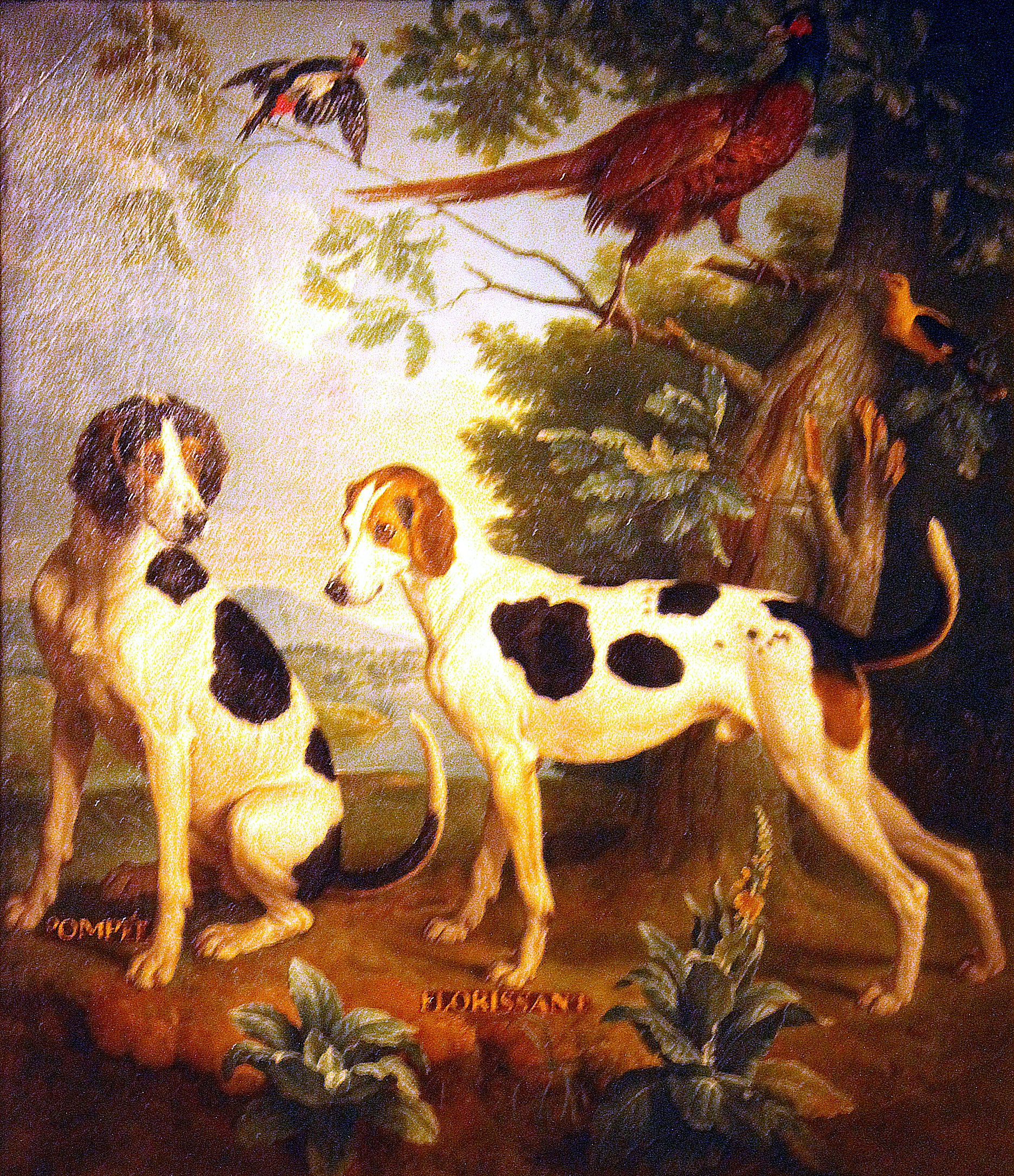 Alexandre-François Desportes, Pompée et Florissant, chiens de la meute de Louis XV