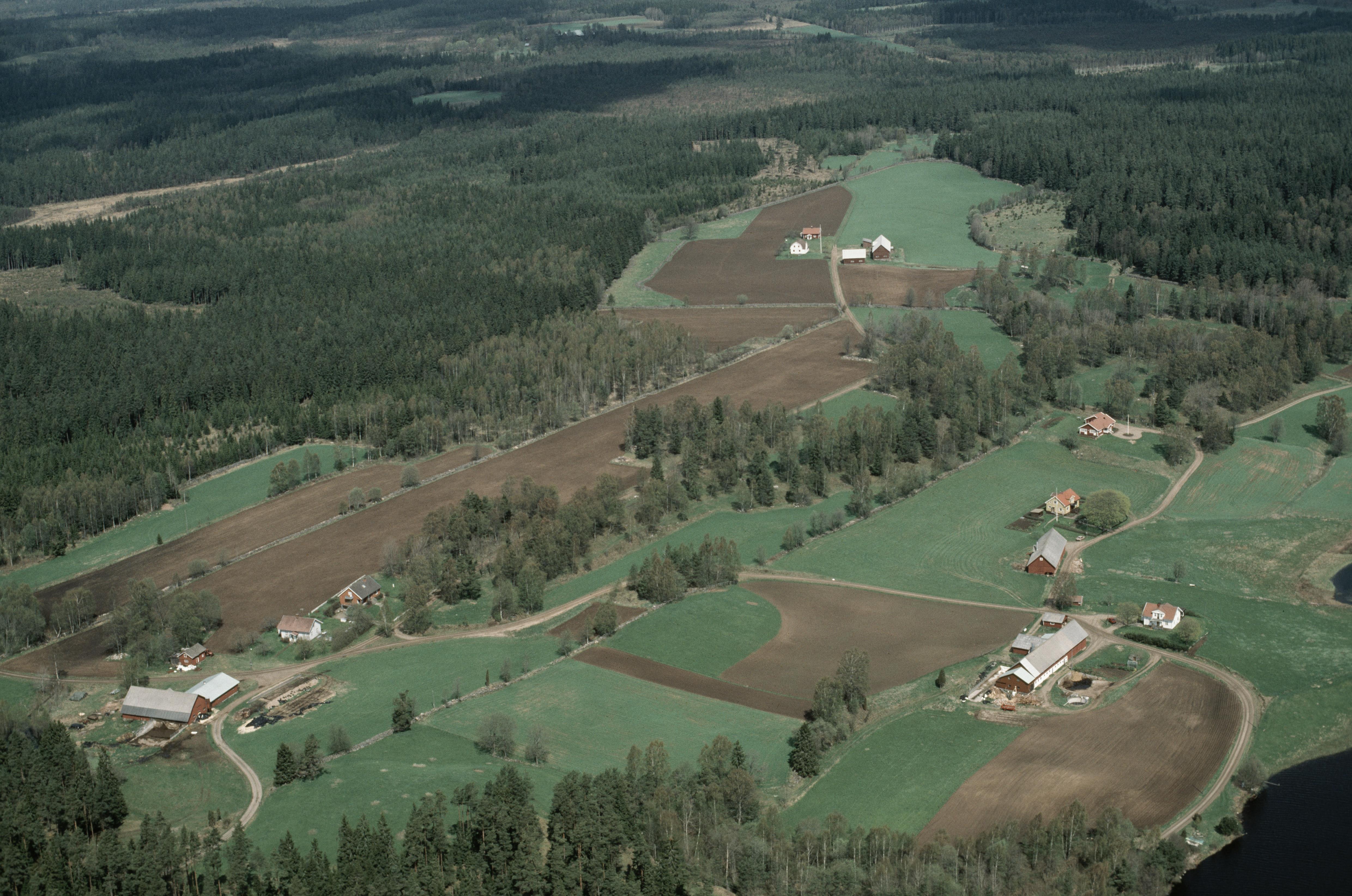 Jan Norrman, Nittorp 221:1