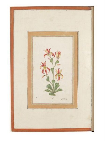 Unknown, Painting