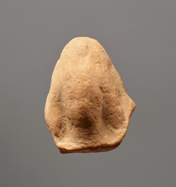 Unknown, Female Head