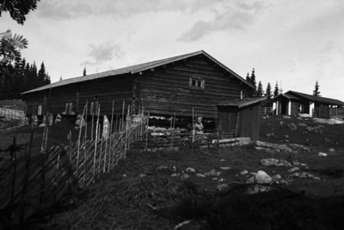 Toralv Bleken-Nilssen, BUSVOLDSETRA. ROMEDAL ALLM, Stange. FJØS. UTEDO.