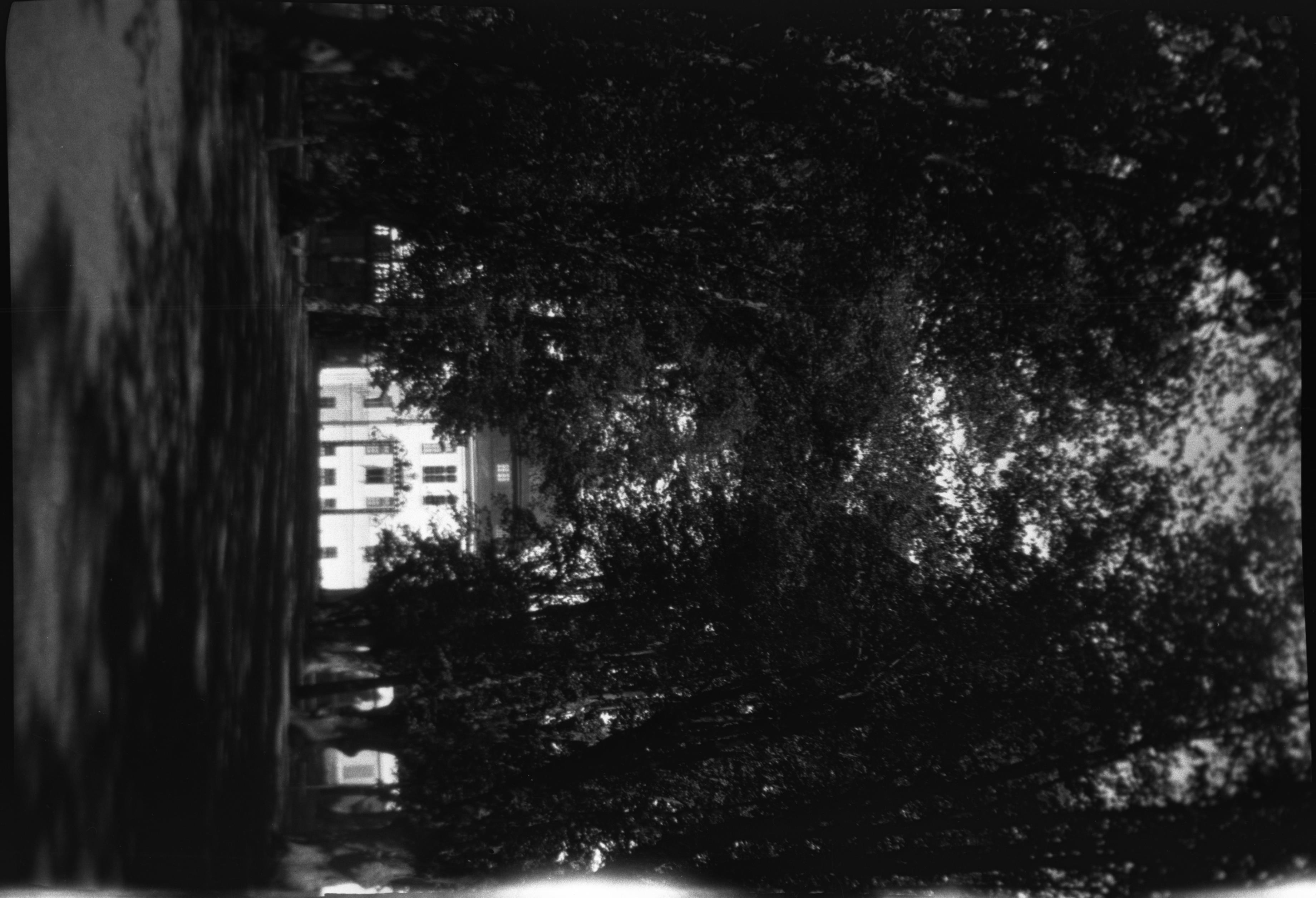 Berit Wallenberg, Drottningholm