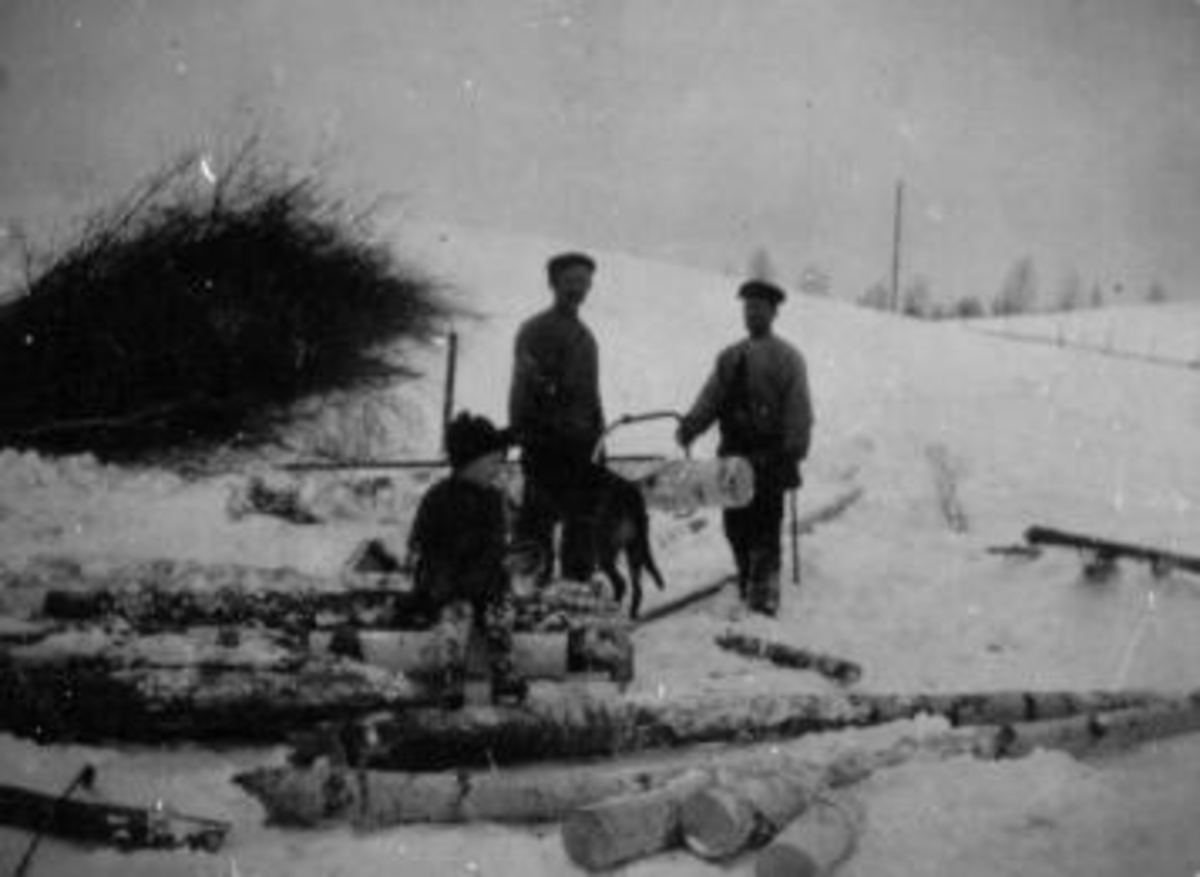 Anno Domkirkeodden, To menn med håndsag sager ved. Gutt og hund. Vinter.