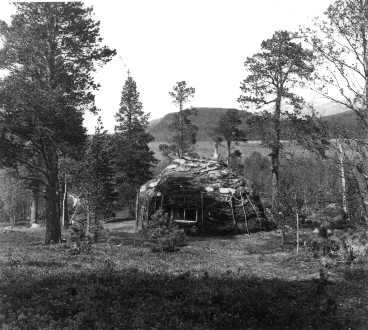 Virginia Raymond Davidson, En gamme for flyttsamer. Saltoluokta 1959.
