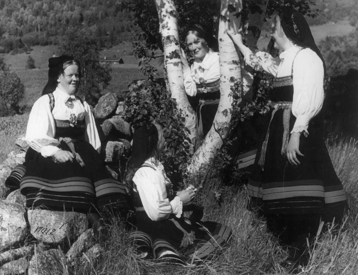 Anders Beer Wilse, Wilse original, Kvinnedrakt