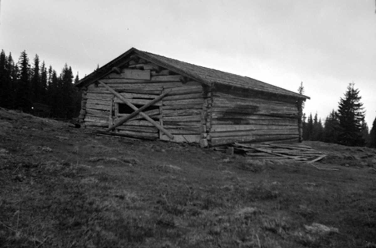 Toralv Bleken-Nilssen, BJØNNÅSEN, Bjørnåsen. FURNES ALLM i Ringsaker. LILLE-ILE SETER, Veslesetra. FJØS. Høyløe.
