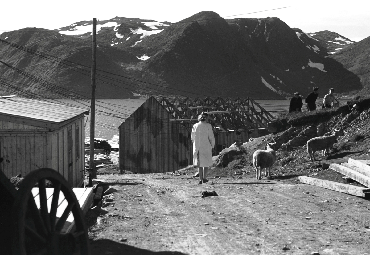 Ola Hanche-Olsen, NO.F003971