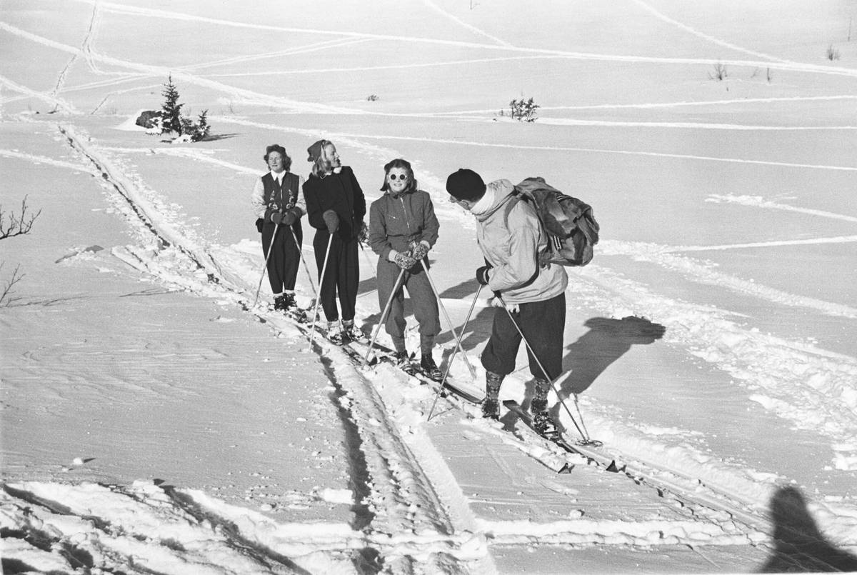 Anders Beer Wilse, Prot: På Fjellet ved Gvepseborg