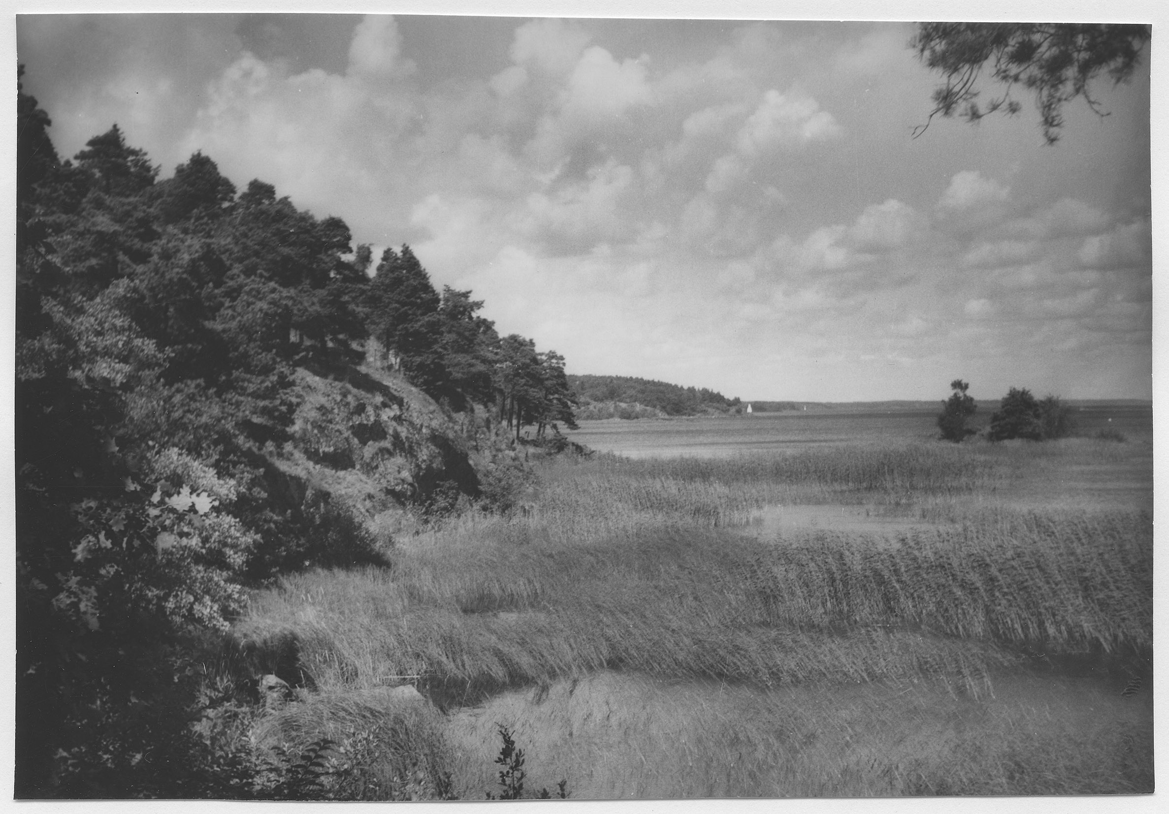 Mårten Sjöbeck, Vänersborg