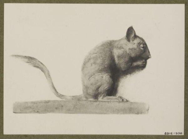 unknown, Photograph