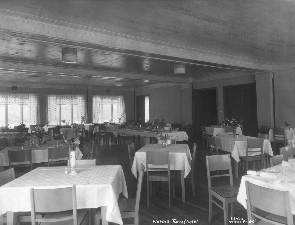 Anders Beer Wilse, Prot: Nermo Turisthotel spisesal