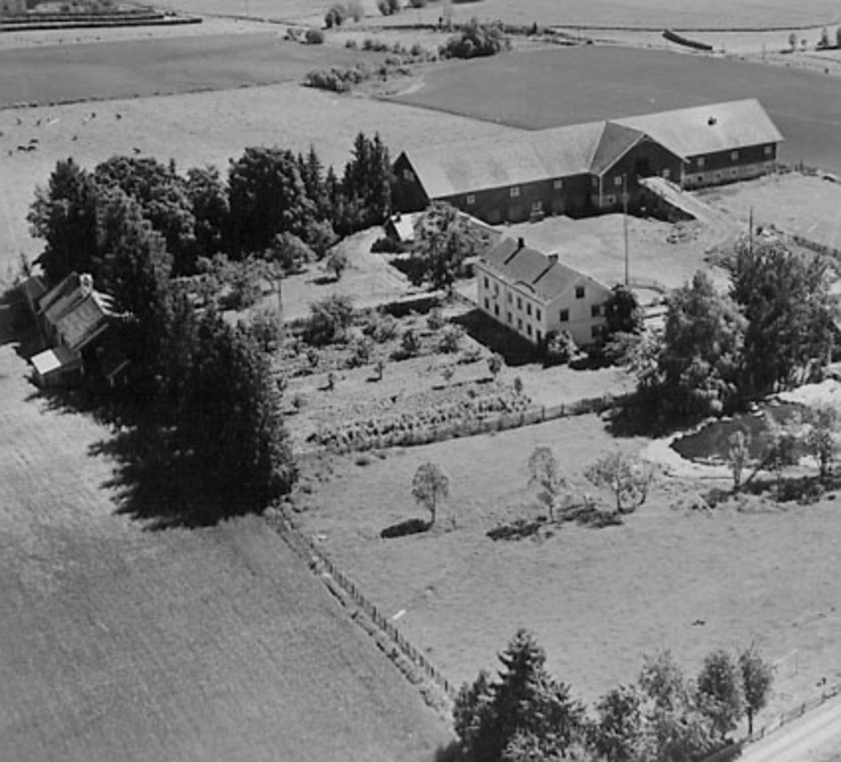 Widerøes Flyveselskap A/S, FLYFOTO AUSTAD VESTRE, ROMEDAL