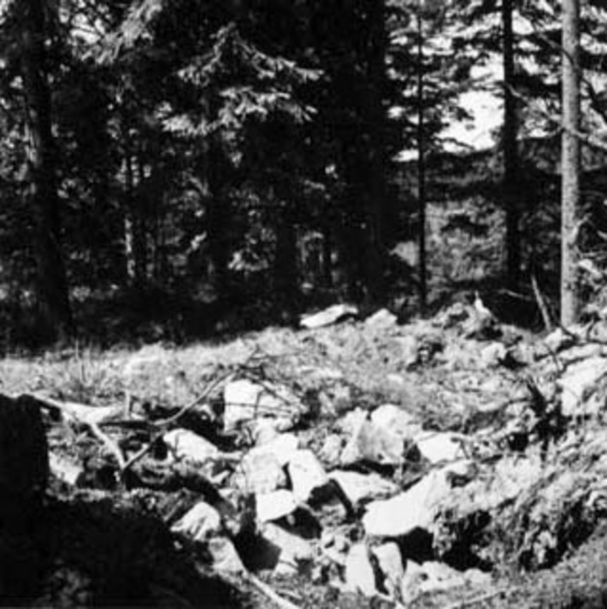 Anno Domkirkeodden, Domstuguberget, prestergardsskogen, bygdeborg fra folkevandringstiden. Oppmålt av Anders Hagen fra universitetets oldsaksamling i juni 1943.