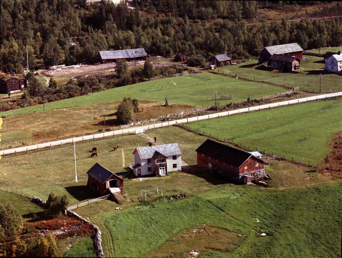 Widerøes Flyveselskap A/S, Gårdsbruk.