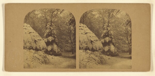 London Stereoscopic and Photographic Company, [Snow Scene]