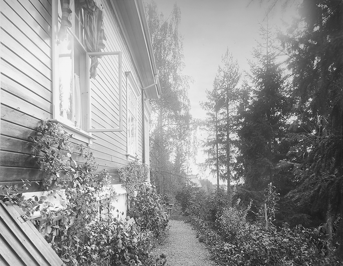 Anders Beer Wilse, Prot: Fahlstrøms Villa Husvæg