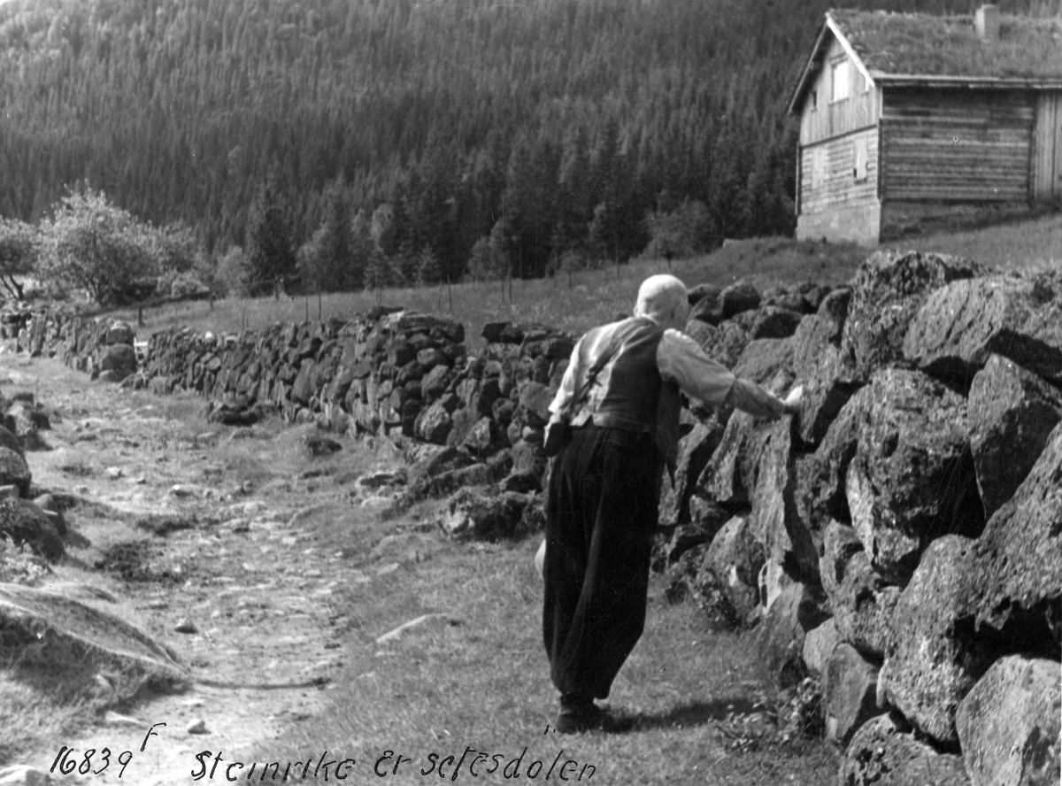 Anders Beer Wilse, Prot: Steingjerde