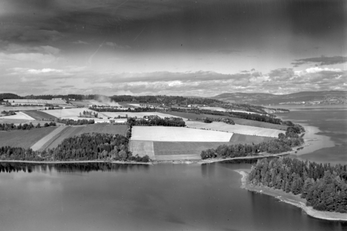 Widerøes Flyveselskap A/S, Flyfoto, gardsbruk, Hovinsholm, Helgøya, Mjøsa, Holmen.