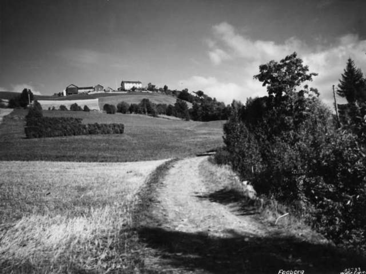 Anders Beer Wilse, -8138