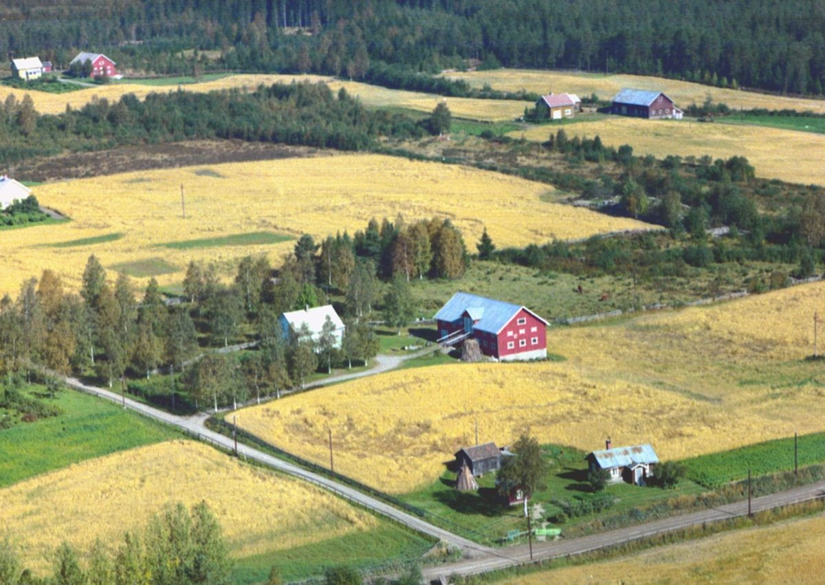 Widerøes Flyveselskap A/S, FLYFOTO SANDÅS GARD