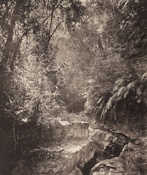 John Thomson, A Mountain Pass in the Island of Formosa