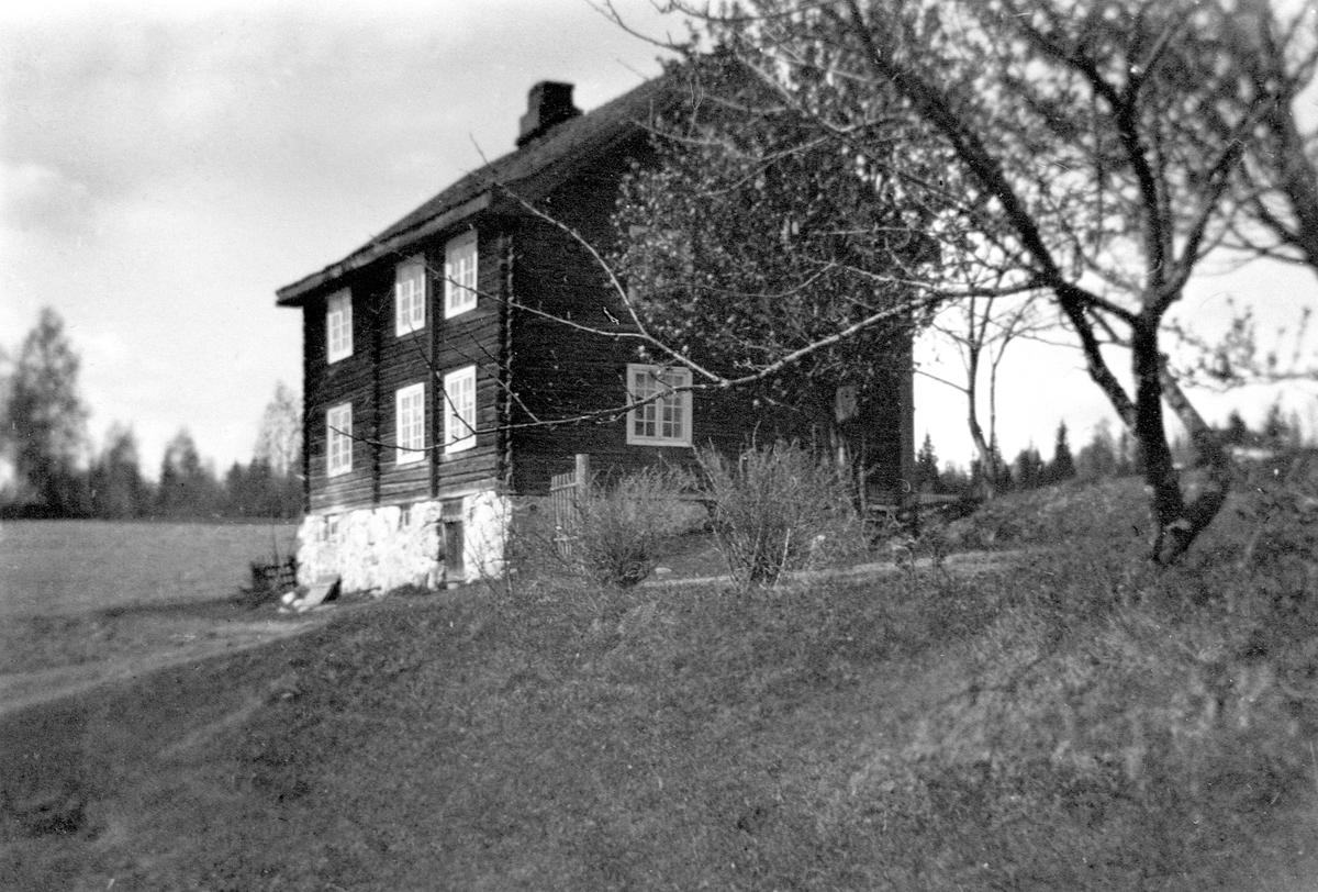 Anno Domkirkeodden, EKSTERIØR: GARDSBRUK, LIEN,
