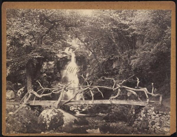Francis Frith, Bolton Woods