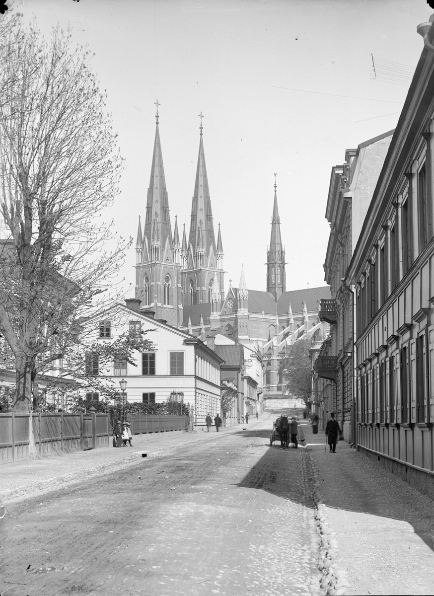 Alfred Dahlgren, The Garden Street in Uppsala, from Slottsalld to the Northwest 1901 - 1902