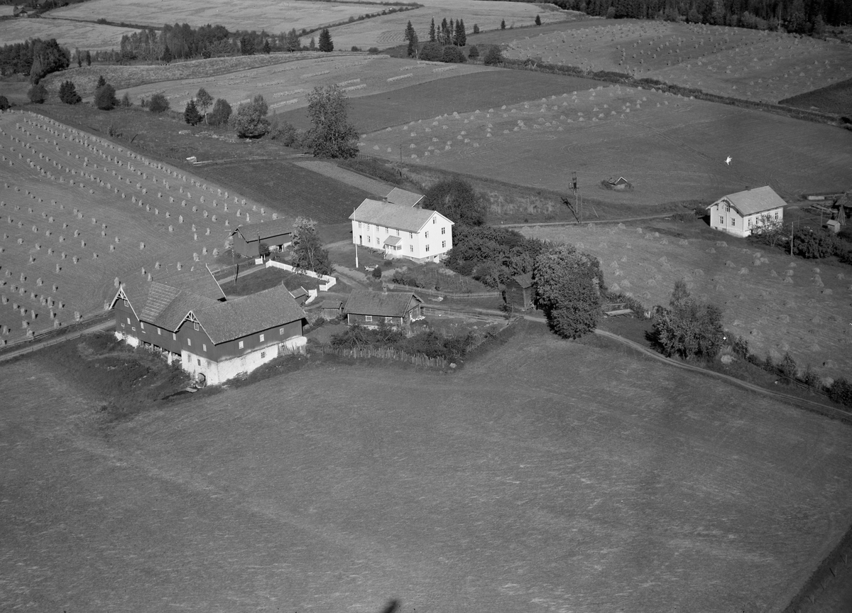 Anno Domkirkeodden, Flyfoto, gardsbruk, Ødemyr, Nes, Hedmark.