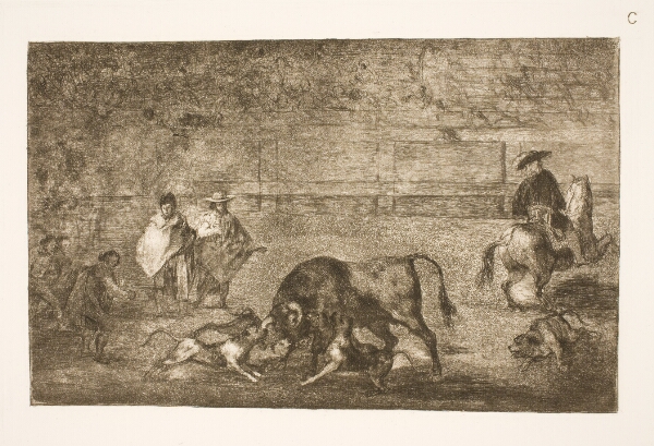 Francisco de Goya, Hundene pudses på tyren