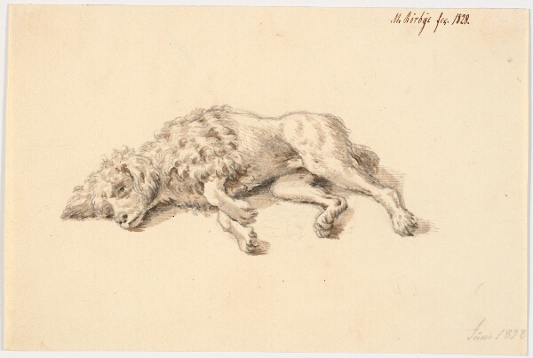 Martinus Rørbye, Liggende puddelhund
