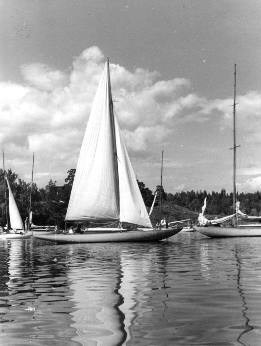 Anders Beer Wilse, Seilsport