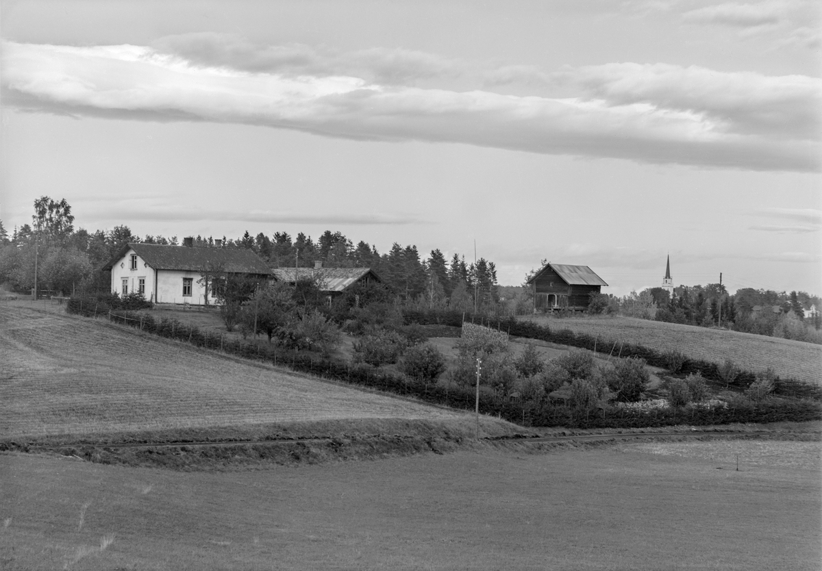 Anno Domkirkeodden, EKSTR: GARDSTUN, FUGLSET, LØTEN. Se Løtenboka, bind 1. Bygdeboka fra 1949, side 174