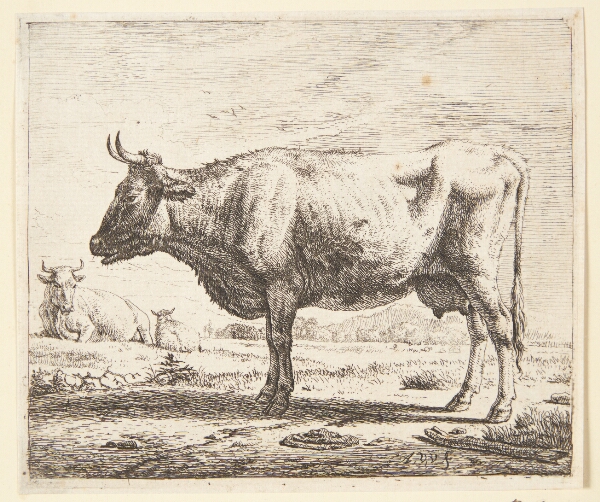 Adriaen van de Velde, To køer og et får