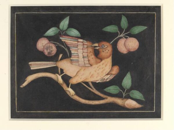 Unknown, One on seven details of pietra-dura work showing flowers and birds on the walls of the Diwan-i Am, Delhi Palace and Fort